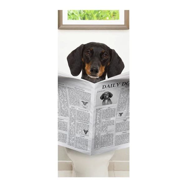 Adesivo Decorativo de Porta - Cachorro - Pet Shop - 2484cnpt - 1