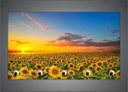 Ver imagem 3 de Porta Chaves Flor Girassol Natureza Paisagens Organizador Chaveiros