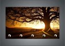 Ver imagem 3 de Porta Chaves Árvores Troco Folhas Galhos Natureza Paisagens Organizador Chaveiros