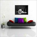 Ver imagem 3 de Quadro Decorativo Animais Lobo Branco Salas Decorações Interiores Com Moldura