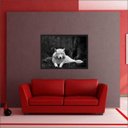 Ver imagem 2 de Quadro Decorativo Animais Lobo Branco Salas Decorações Interiores Com Moldura
