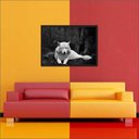 Ver imagem 4 de Quadro Decorativo Animais Lobo Branco Salas Decorações Interiores Com Moldura