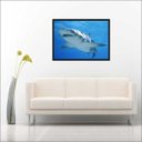 Ver imagem 4 de Quadro Decorativo Animais Tubarão Salas Decorações Interiores Com Moldura