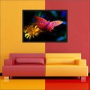 Ver imagem 3 de Quadro Decorativo Animais Borboletas Flores Salas Decorações Recepção Interiores Com Moldura