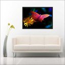 Ver imagem 1 de Quadro Decorativo Animais Borboletas Flores Salas Decorações Recepção Interiores Com Moldura