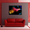 Ver imagem 5 de Quadro Decorativo Animais Borboletas Flores Salas Decorações Recepção Interiores Com Moldura