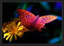 Ver imagem 2 de Quadro Decorativo Animais Borboletas Flores Salas Decorações Recepção Interiores Com Moldura