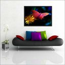 Ver imagem 4 de Quadro Decorativo Animais Borboletas Flores Salas Decorações Recepção Interiores Com Moldura