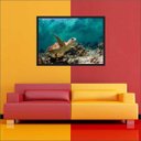 Ver imagem 1 de Quadro Decorativo Animais Tartaruga Salas Decorações Interiores Com Moldura
