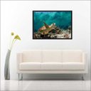 Ver imagem 3 de Quadro Decorativo Animais Tartaruga Salas Decorações Interiores Com Moldura