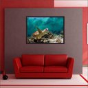 Ver imagem 4 de Quadro Decorativo Animais Tartaruga Salas Decorações Interiores Com Moldura