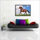 Ver imagem 4 de Quadro Decorativo Animais Cavalos Salas Decorações Interiores Com Moldura