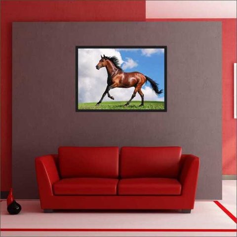 Quadro Decorativo Animais Cavalos Salas Decorações Interiores Com Moldura