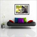 Ver imagem 2 de Quadro Decorativo Animais Gato Pet Shop Salas Decorações Interiores Com Moldura