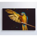 Ver imagem 2 de Quadro Arara Azul 120x80 Cm Adesivo Fotográfico
