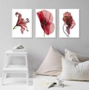Ver imagem 2 de Kit 3 Quadros Decorativos Modernos Flores- Vinho Marsala 24x18cm:madeira Branca