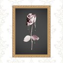 Ver imagem 1 de Quadro Moldura Dourada Flor Rosa e Cinza 33x24cm:com Acetato