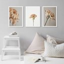 Ver imagem 1 de Kit 3 Quadros Decorativos Elegantes Flores Bege 24x18cm:madeira Branca