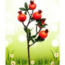 Ver imagem 2 de Kit 4 Plantas Fruta Romã Artificial Decoração Natal de 60cm