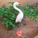 Ver imagem 5 de Garça Solitária Grande em Cerâmica - Enfeite Casa e Jardim