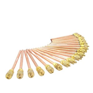 Kit 50 Válvulas de Serviço Refrigeração Schrader 1/4 - 100mm