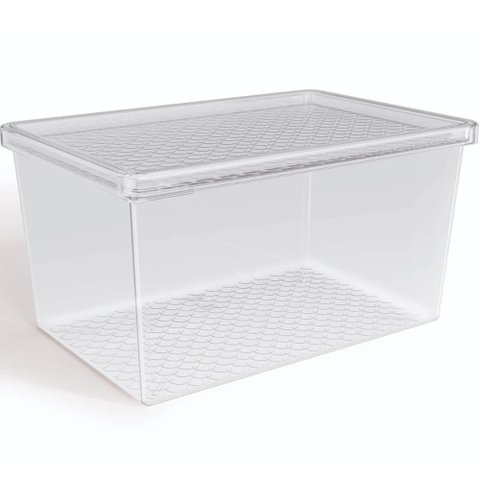 Organizador de Geladeira com Tampa 2,9L Caixa Organizadora Frutas Verduras Transparente Uz