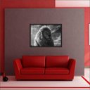 Ver imagem 3 de Quadro Decorativo Leão Animais Salas Decorações Interiores Com Moldura
