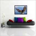Ver imagem 3 de Quadro Decorativo Ave Águia Animais Salas Decorações Interiores Com Moldura