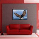 Ver imagem 4 de Quadro Decorativo Ave Águia Animais Salas Decorações Interiores Com Moldura