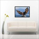 Ver imagem 1 de Quadro Decorativo Ave Águia Animais Salas Decorações Interiores Com Moldura