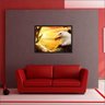 Quadro Decorativo Ave Águia Animais Salas Decorações Interiores Com Moldura - 2