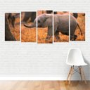 Ver imagem 1 de Quadro Animais Elefante Filhote Mamífero Herbívoro Canvas