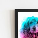 Ver imagem 2 de Quadro Cocker Spaniel Inglês Cão Aquarela Moldura 60x40cm