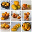 Ver imagem 1 de Kit 15 Mamões Artificiais Realistas Fruta Decorativa Restaurante, Buffet, Festa e Temática Tropical