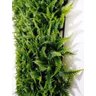º 3 Placas Samambaias Grandes 40x60 Jardim Vertical Verdes - 2