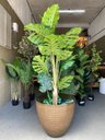 Ver imagem 5 de Vaso De Planta Grande Decorativo Para Sala Auto Brilho e Leve 47cm (Liso/Marrom-Escuro)