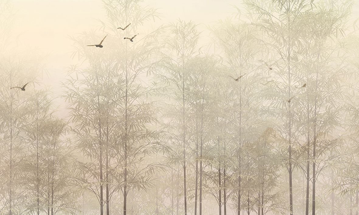 Papel de Parede - Refúgio entre Árvores - 2