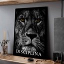 Ver imagem 1 de Quadro Decorativo Motivacional Leão em Disciplina em Moldura Caixa TACOLADO PAPEL DE PAREDE Moldura