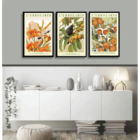Kit 3 Quadros Passarinhos Flores e Frutos Laranja 33x24cm - com Vidro:moldura Branca