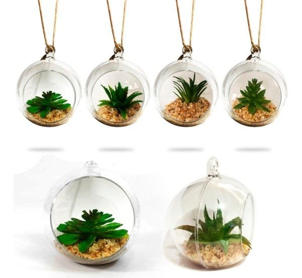12 Plantas Suculenta Artificial Vaso Acrílico para Pendurar 11cm - 1