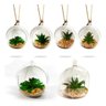 12 Plantas Suculenta Artificial Vaso Acrílico para Pendurar 11cm - 1
