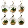 12 Plantas Suculenta Artificial Vaso Acrílico para Pendurar 11cm - 3