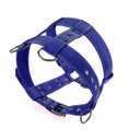 Ver imagem 2 de Coleira para Tração Treinamento e Passeio para Cachorros Tamanho Grande