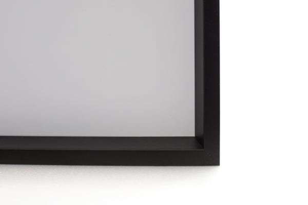 Quadro Orca AFFARI DECOR Moldura Caixa Invertida 40x60 - 2