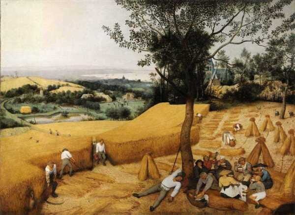 A Colheita de Trigo - Bruegel - Tela 30x41 Para Quadro - 1