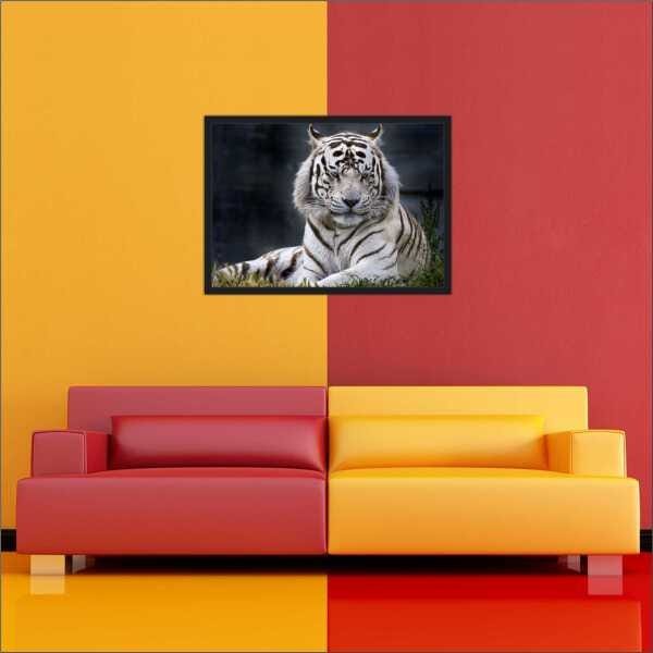 Quadro Animais Tigre Decorar Com Moldura Interiores TT04 - 3