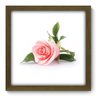 Quadro com Moldura - 33x33 - Rosa - N2071 - 1