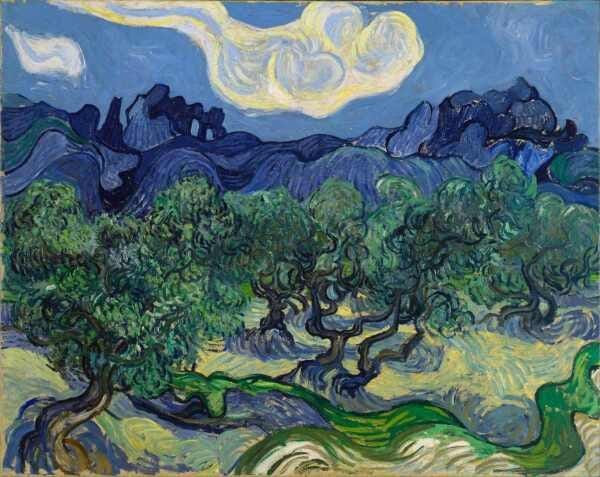 Oliveiras com Alpilles - van Gogh - Tela 30x38 Para Quadro - 1