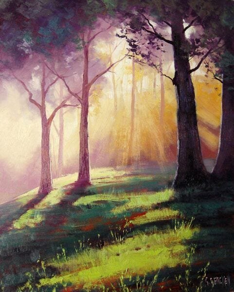 Raios de Sol na Floresta - Gercken - Tela 50x62 Para Quadro - 1