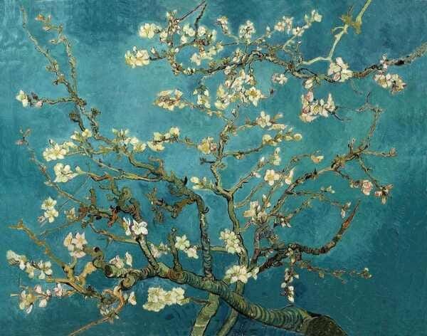 Amendoeira em Flor - van Gogh - Tela 50x63 Para Quadro - 1